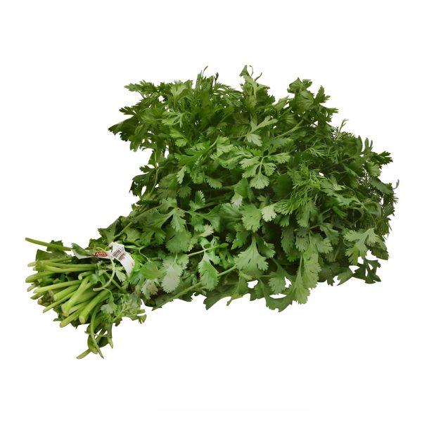جعفری تازه